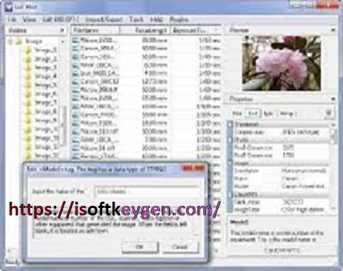 Exif Pilot 6.11.1 Crack With License Code Free Version [2022]